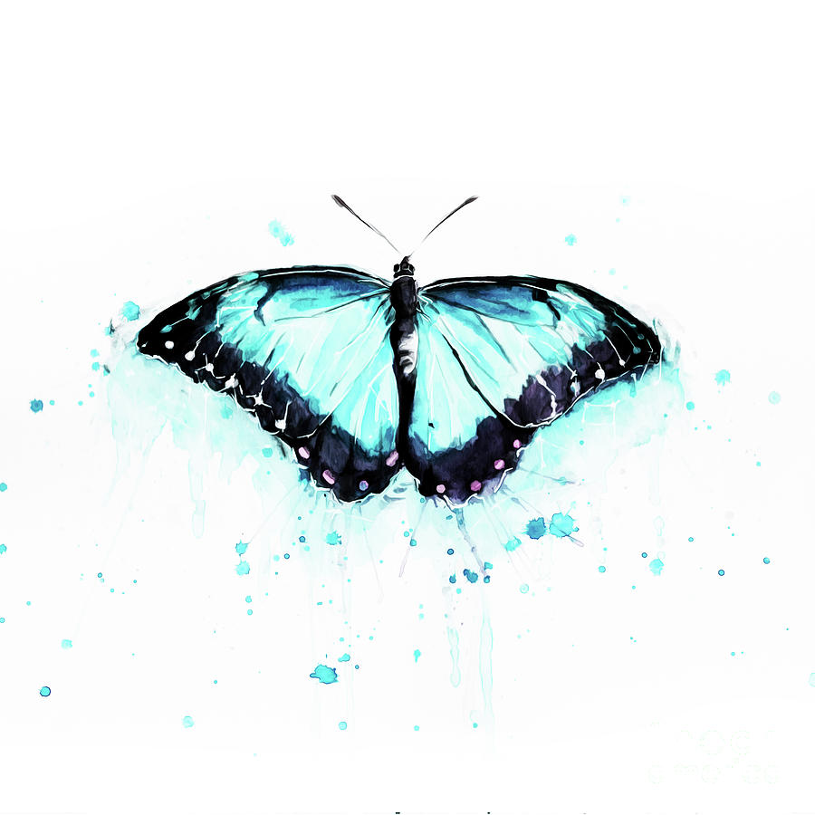 Butterfly art 01 Painting by Gull G