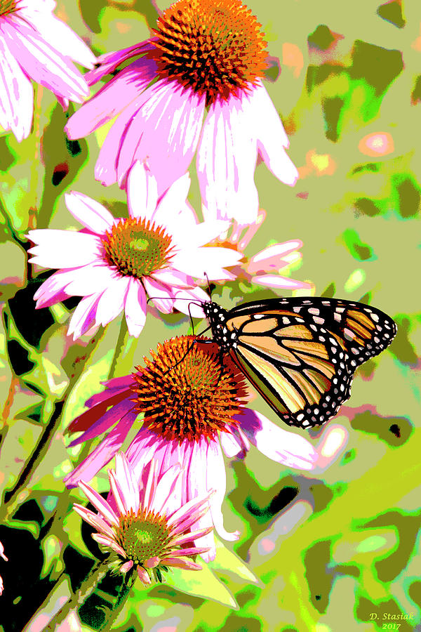 Butterfly Art Digital Art by David Stasiak | Fine Art America