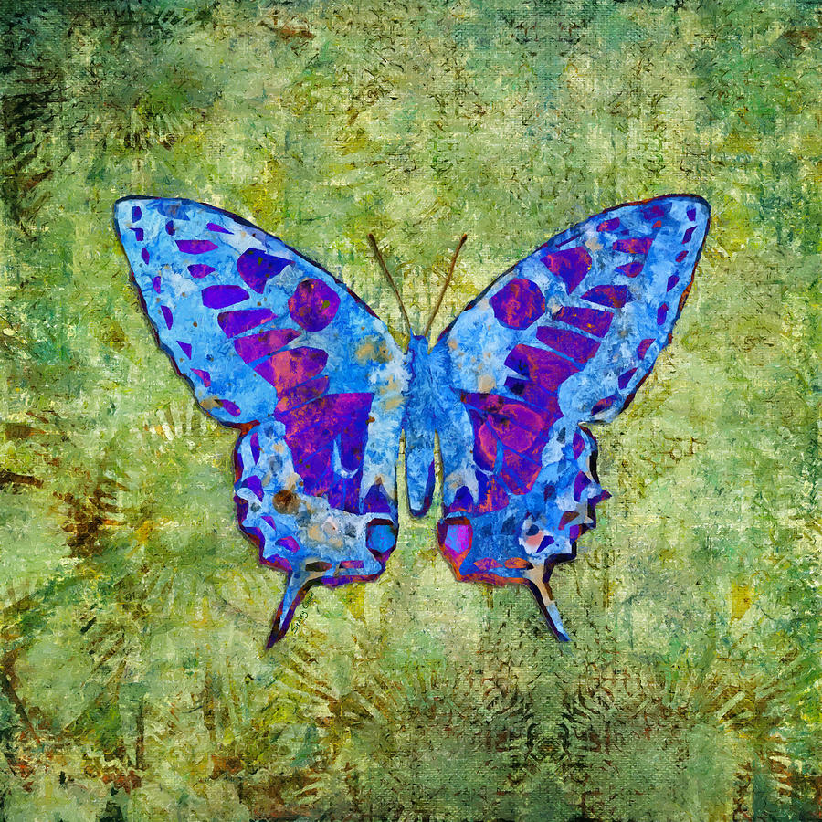 Butterfly Art Mixed Media By Stacey Chiew - Fine Art America