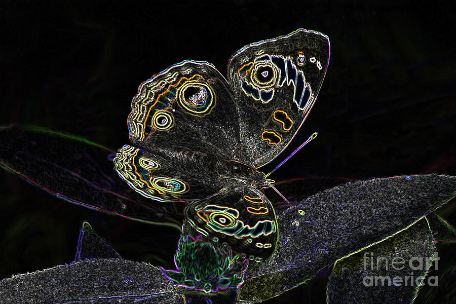 Butterfly Art Digital Art by Steven Parker