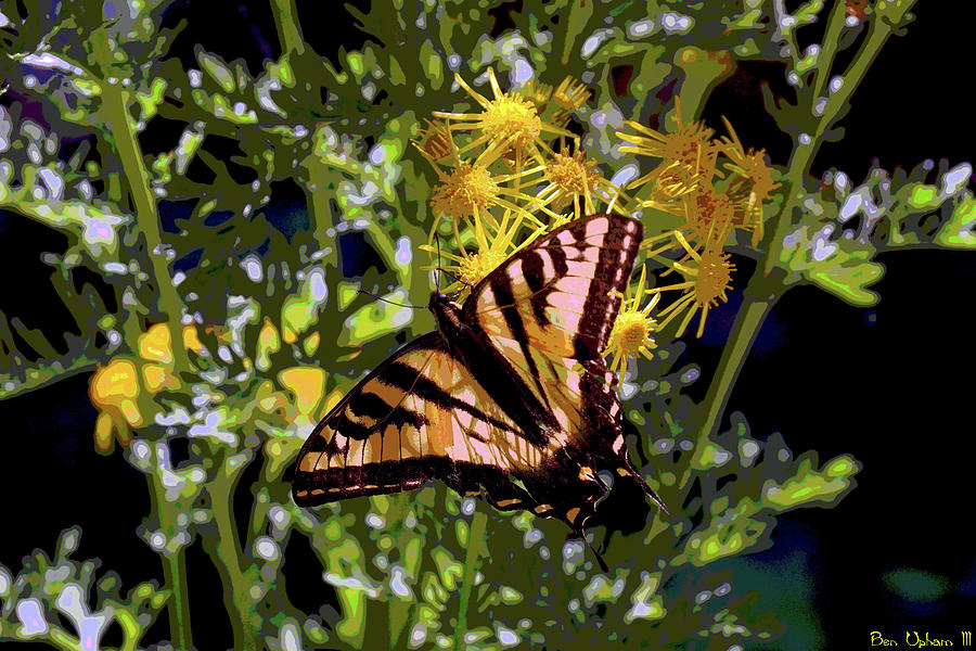 Butterfly at Wilson Creek #4 Enhanced Image Photograph by Ben Upham III
