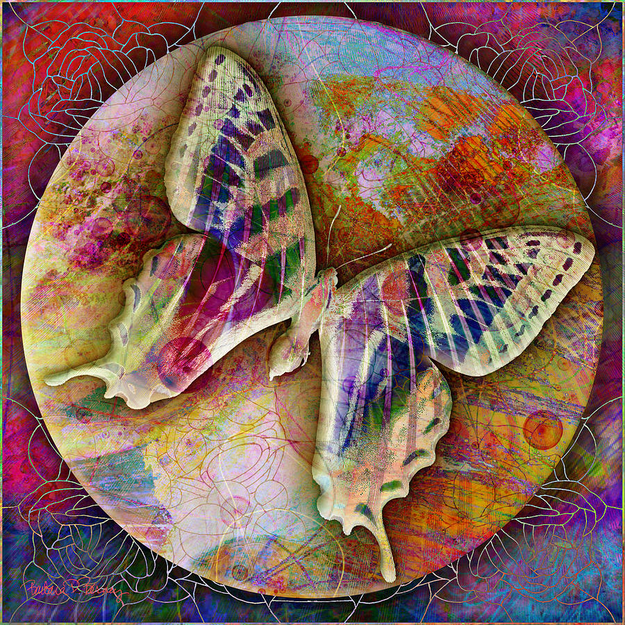 Butterfly Digital Art by Barbara Berney