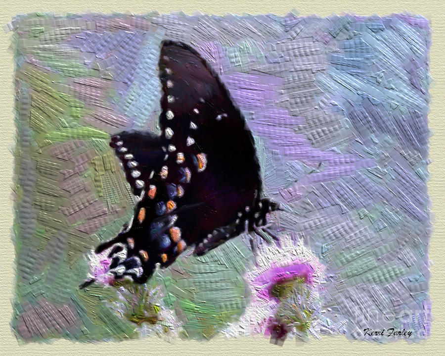 Butterfly Beauty  Photograph by Kerri Farley