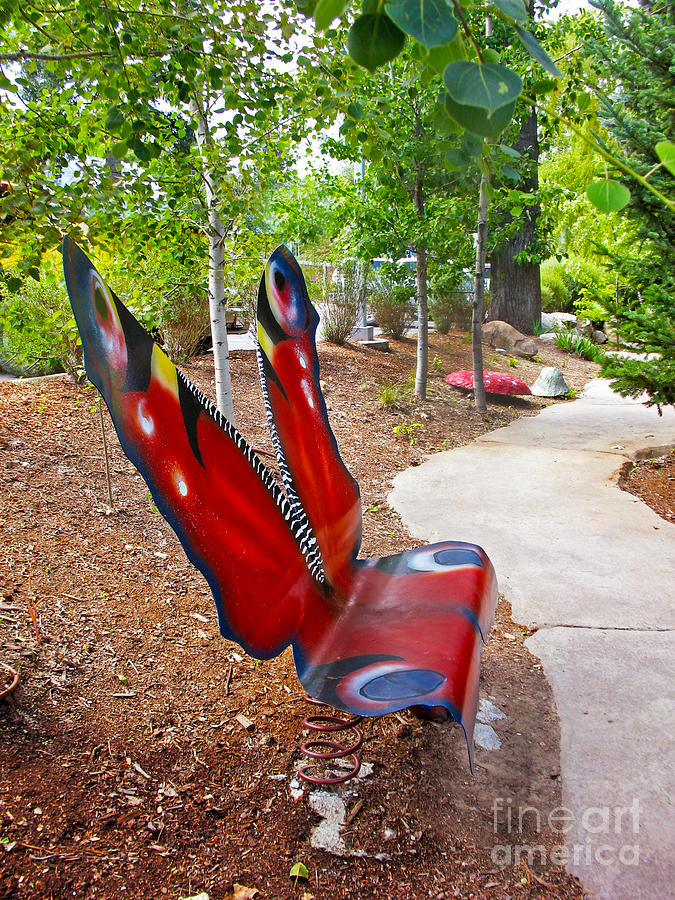 Butterfly Bench Photograph by Cindy Murphy - NightVisions 