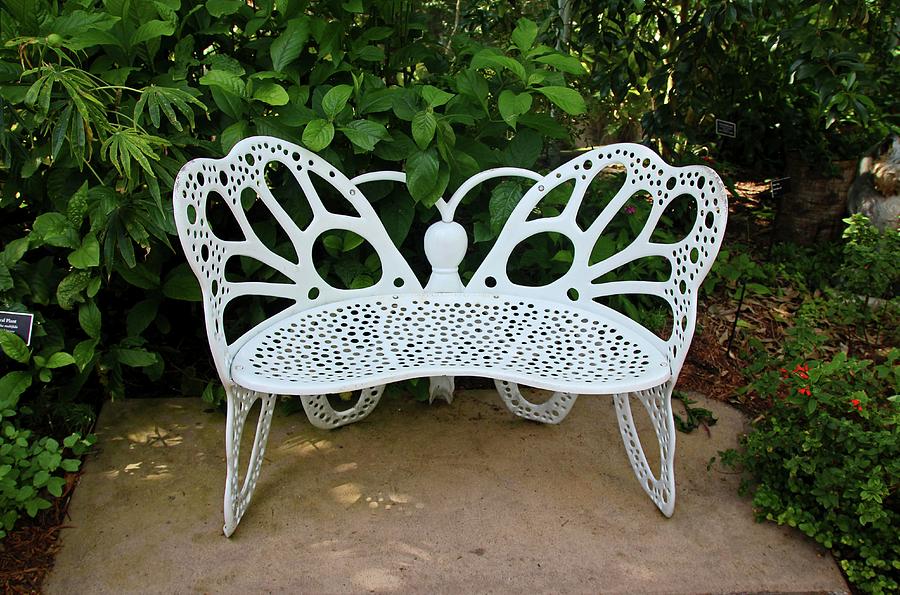 Butterfly Bench I Photograph by Michiale Schneider