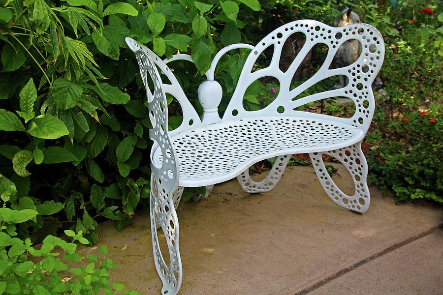 Butterfly Bench II Photograph by Michiale Schneider