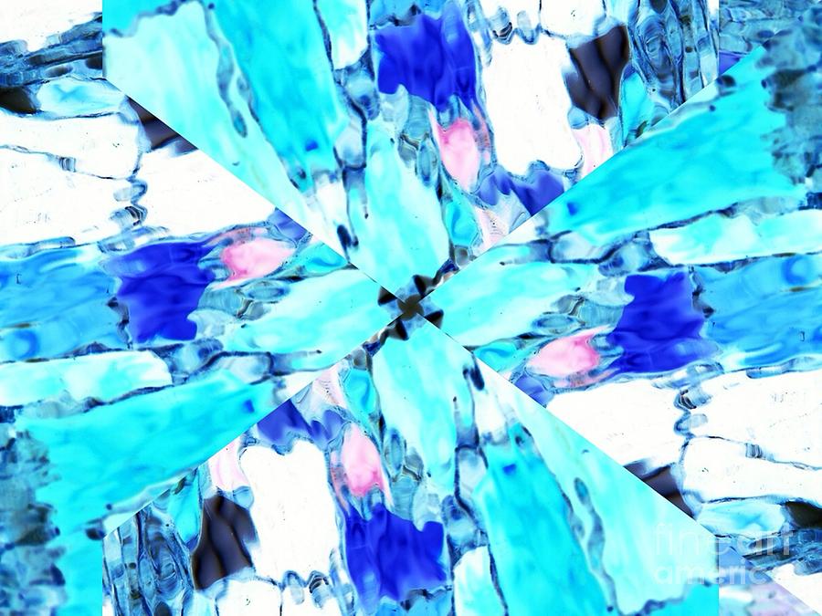 Abstract Digital Art - Butterfly Blue by Lorles Lifestyles Abstract Digital Art - Butterfly Blue by Lorles Lifestyles