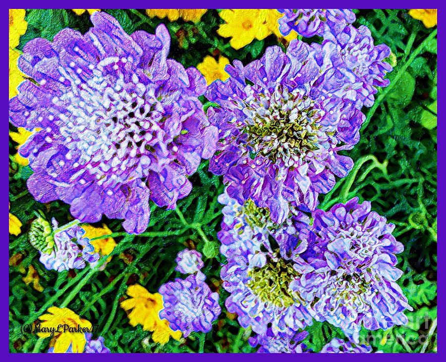Butterfly Blue Scabious  Digital Art by MaryLee Parker