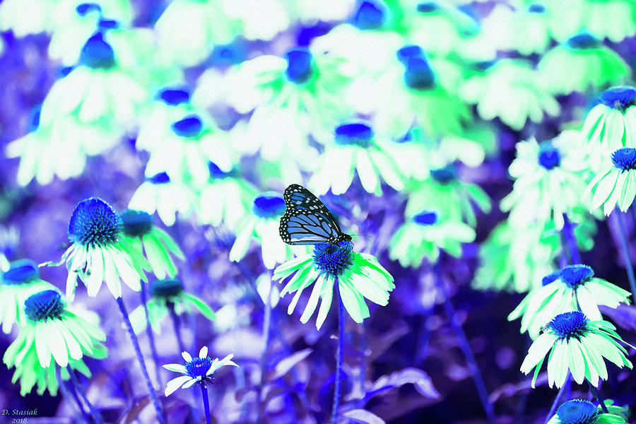 Butterfly Blues Digital Art by David Stasiak