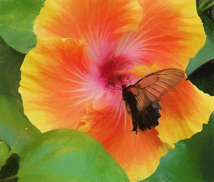 Butterfly Botanical Photograph by Kathy Bassett