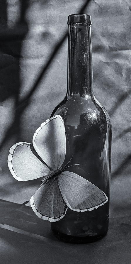 Butterfly Bottle Shadow Monochrome Photograph by Jeff Townsend