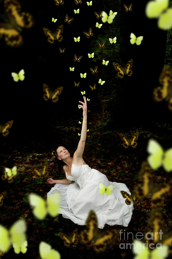Butterfly Bride Photograph by Clayton Bastiani