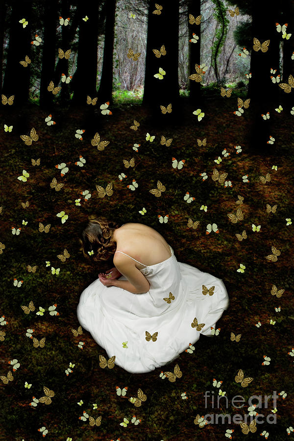 Butterfly Bride Number 2 Photograph by Clayton Bastiani