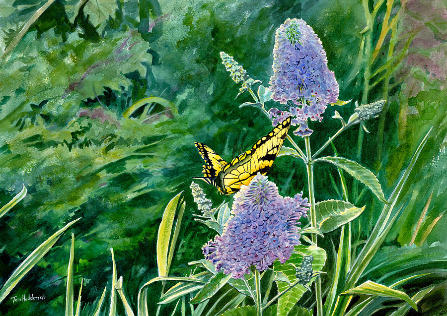 Nature Painting - Butterfly Bush by Tom Hedderich
