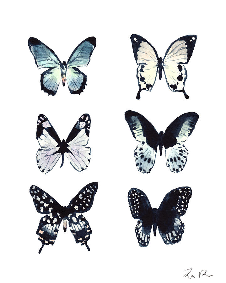 Butterfly Collection Collage Swallowtail Moth Monarch Malachite Luna ...