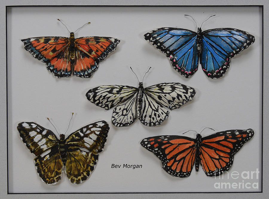 Butterfly Collection No 3 Painting by Bev Morgan