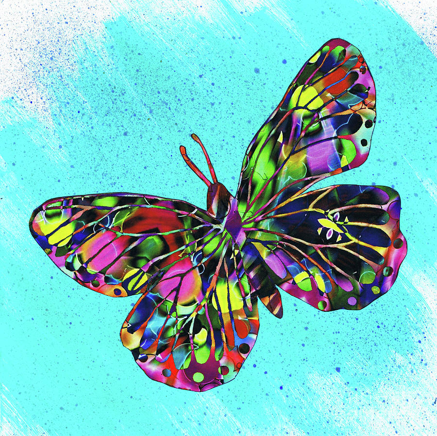 Butterfly Colors #1 Digital Art by Hao Aiken