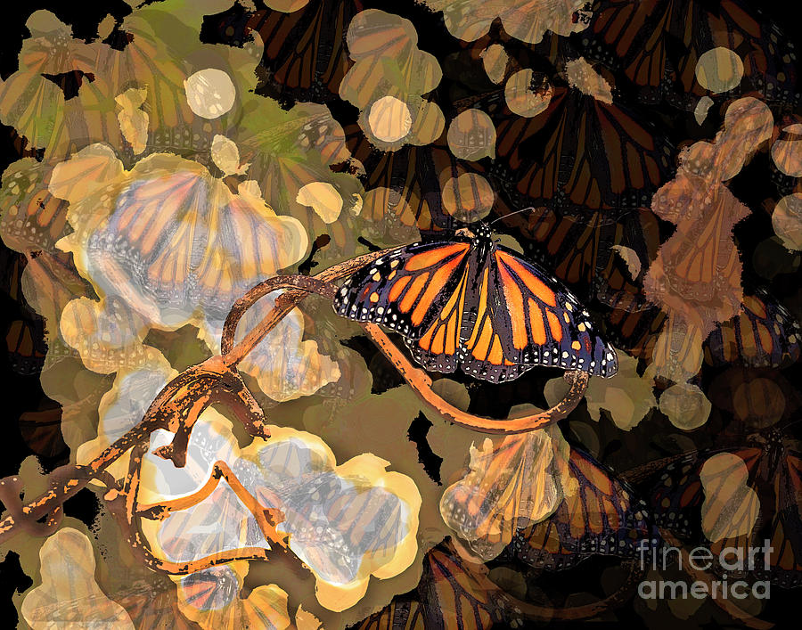 Butterfly Creative Art Photograph by Luana K Perez