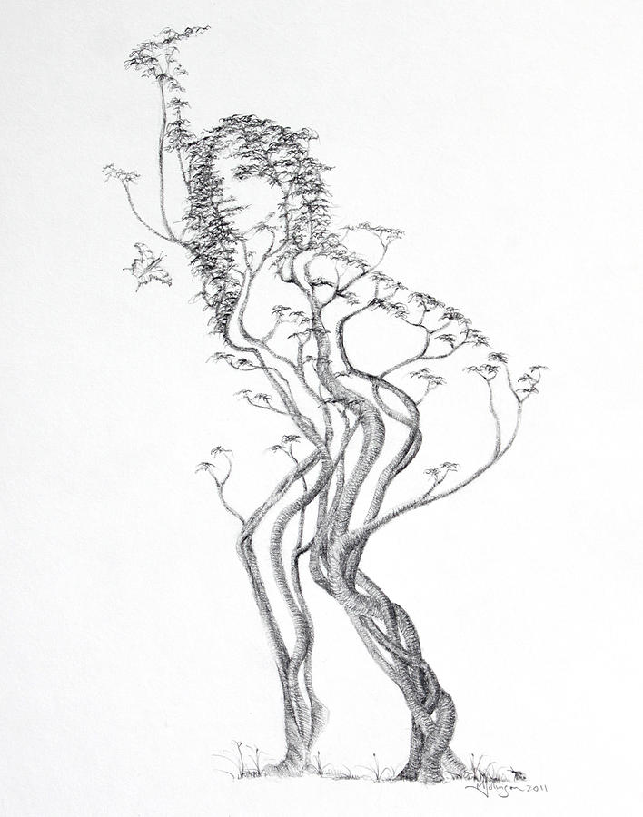 Butterfly Dancer Drawing by Mark Johnson
