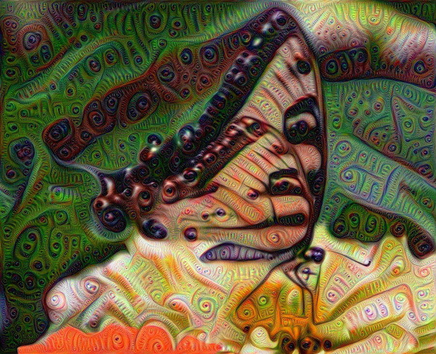 Butterfly Deams Painting by Bill Cannon