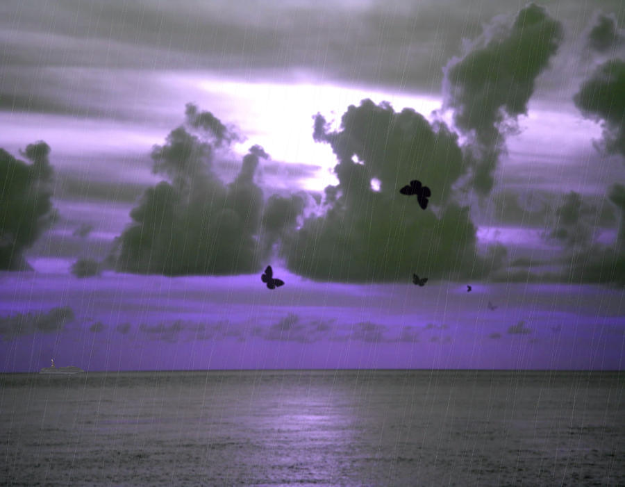 Sunset Photograph - Butterfly Dreams and a Purple Sky by Rosalie Scanlon