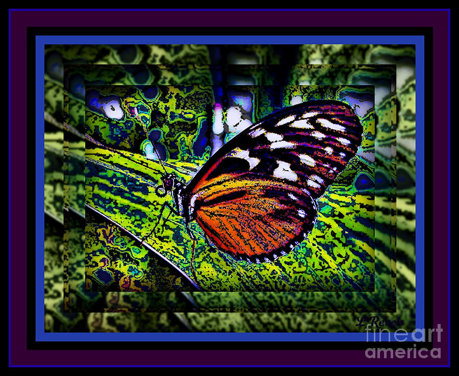 Butterfly Dreams Photograph by Leslie Revels