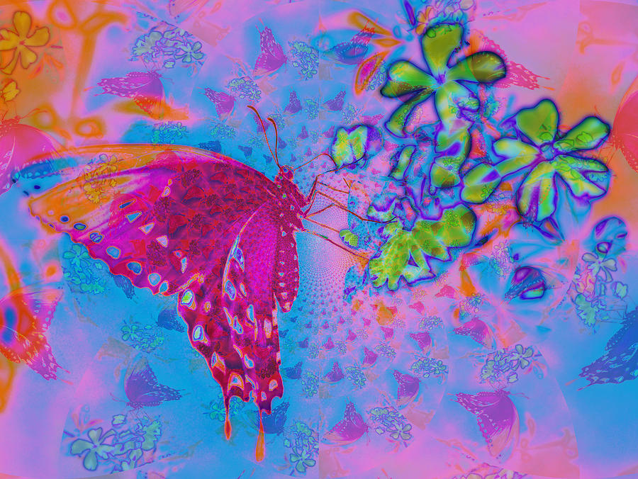 Butterfly Dreams Digital Art by Rose  Hill
