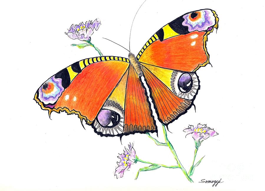 Butterfly Dressed for a Masquerade Ball Drawing by Jayne Somogy