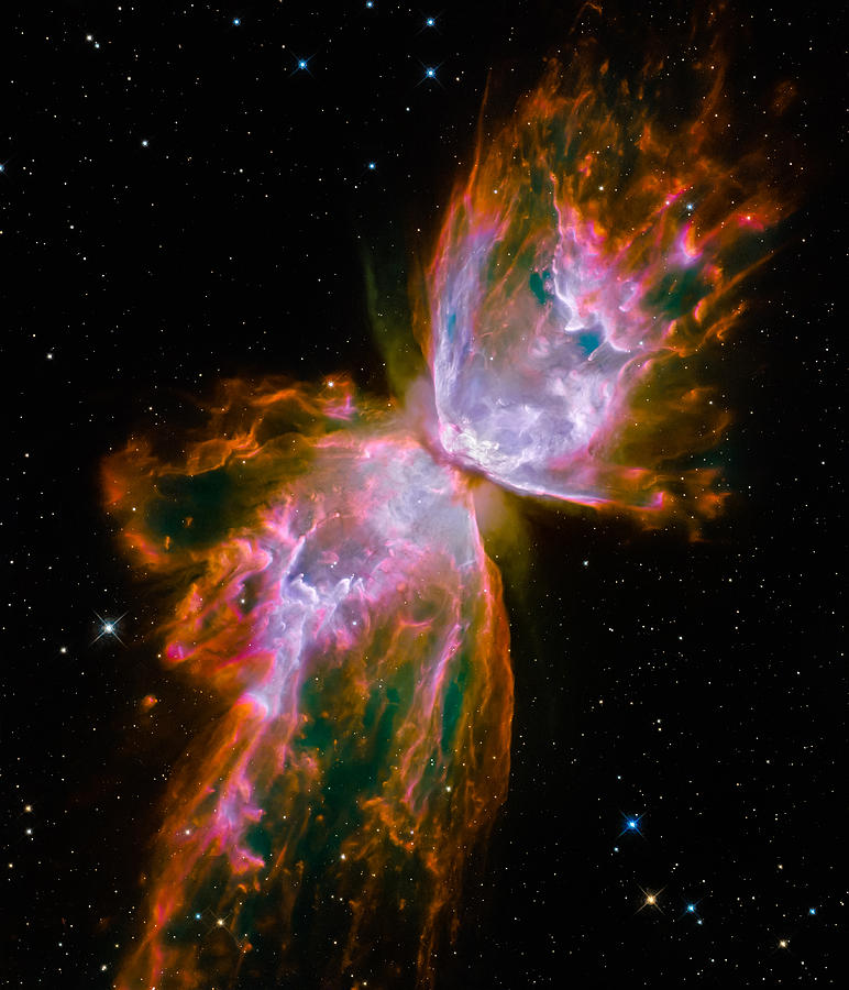 Space Photograph - Butterfly Emerges from Stellar Demise by Marco Oliveira