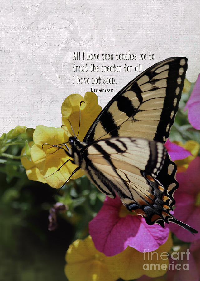 Butterfly Emerson Quote for Phone Photograph by Karen Hart