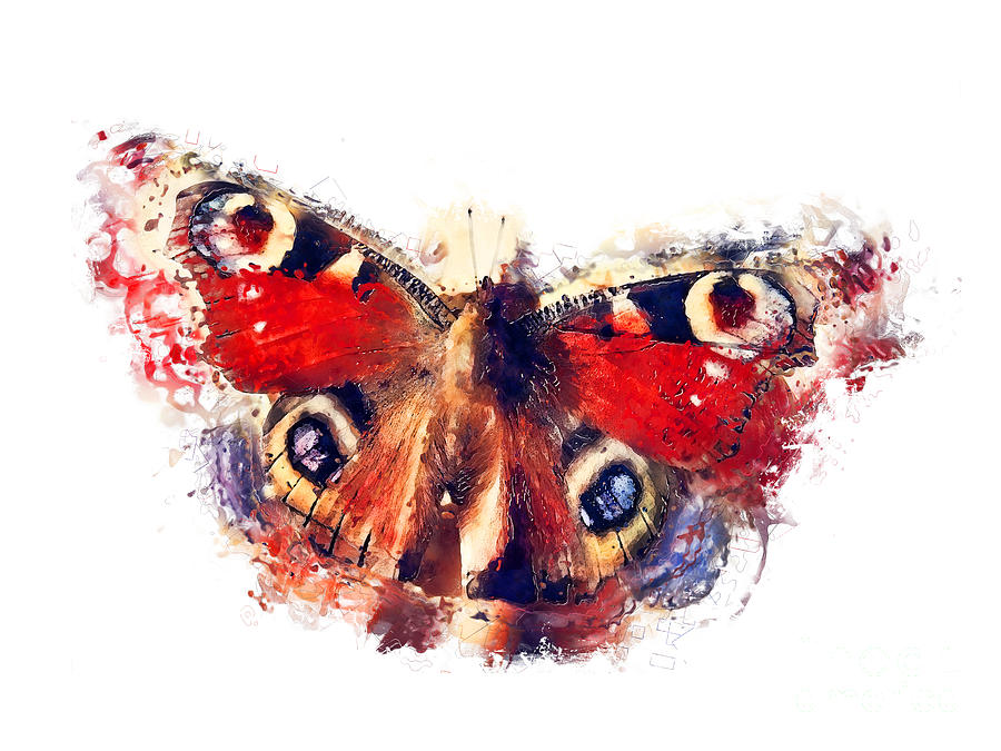 Butterfly European Peacock Painting by Justyna Jaszke JBJart