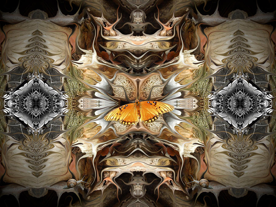 Butterfly Extrapolated  Digital Art by Glen Faxon