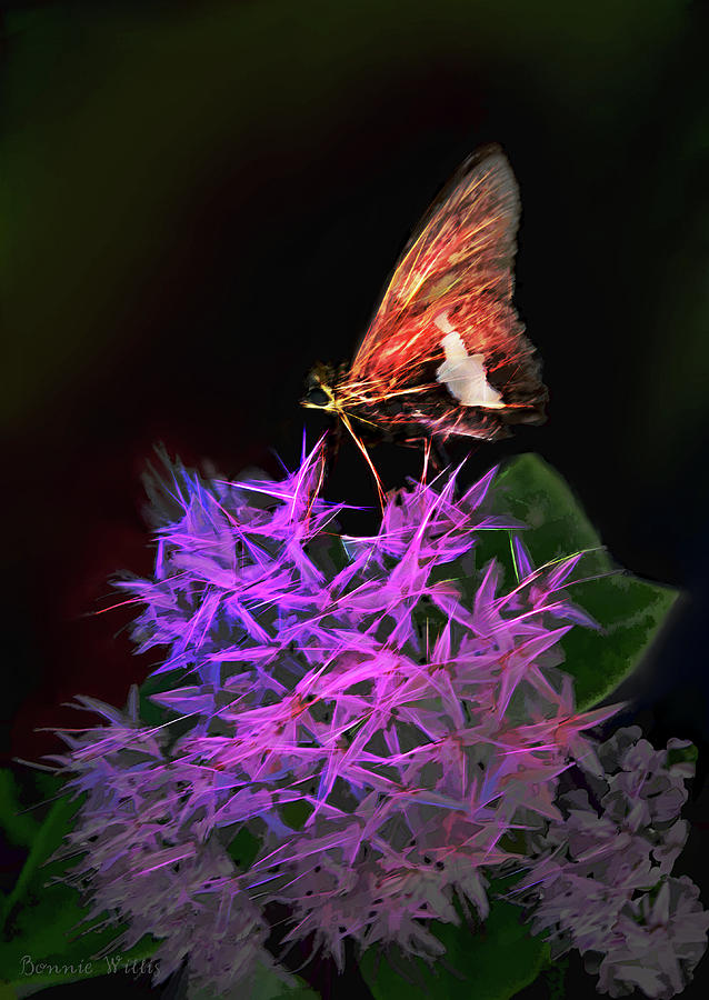 Butterfly Feast Digital Art by Bonnie Willis