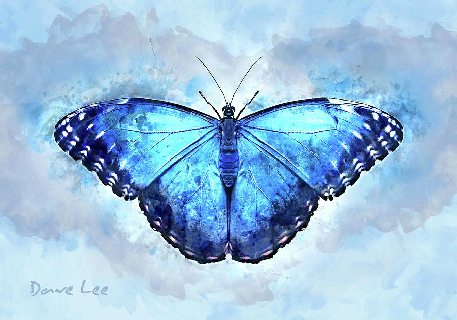 Butterfly, Flutter By Mixed Media by Dave Lee