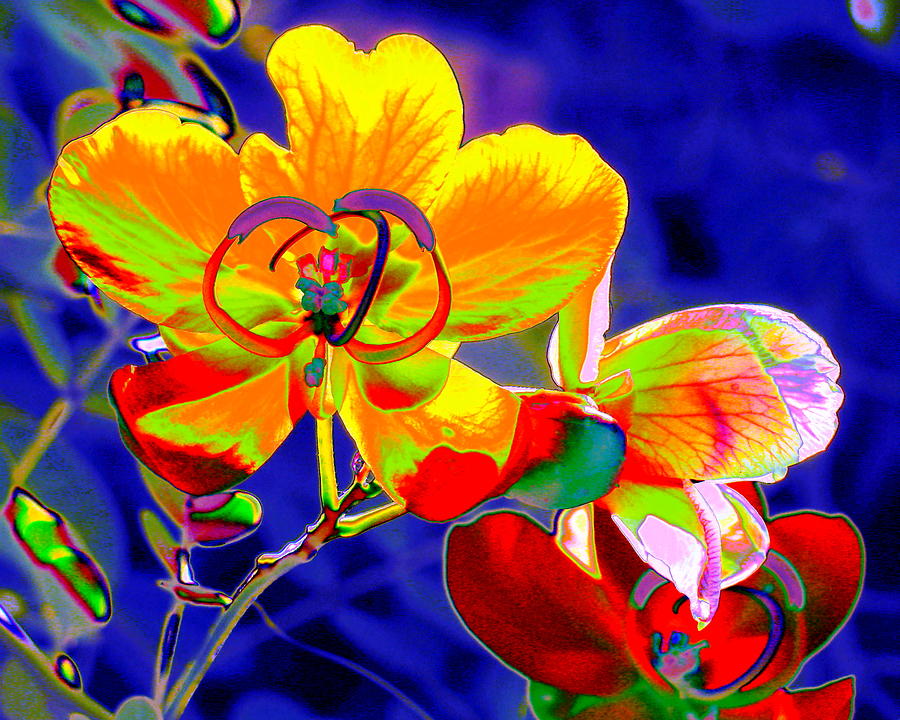 Butterfly Garden Digital Art by Larry Beat