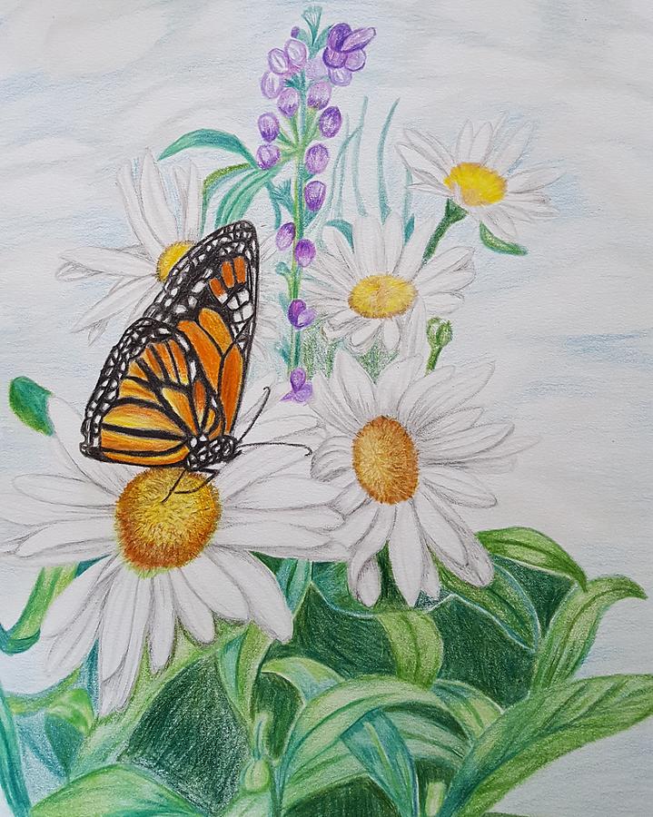 Butterfly Garden Drawing by Meghan Forminsky - Fine Art America