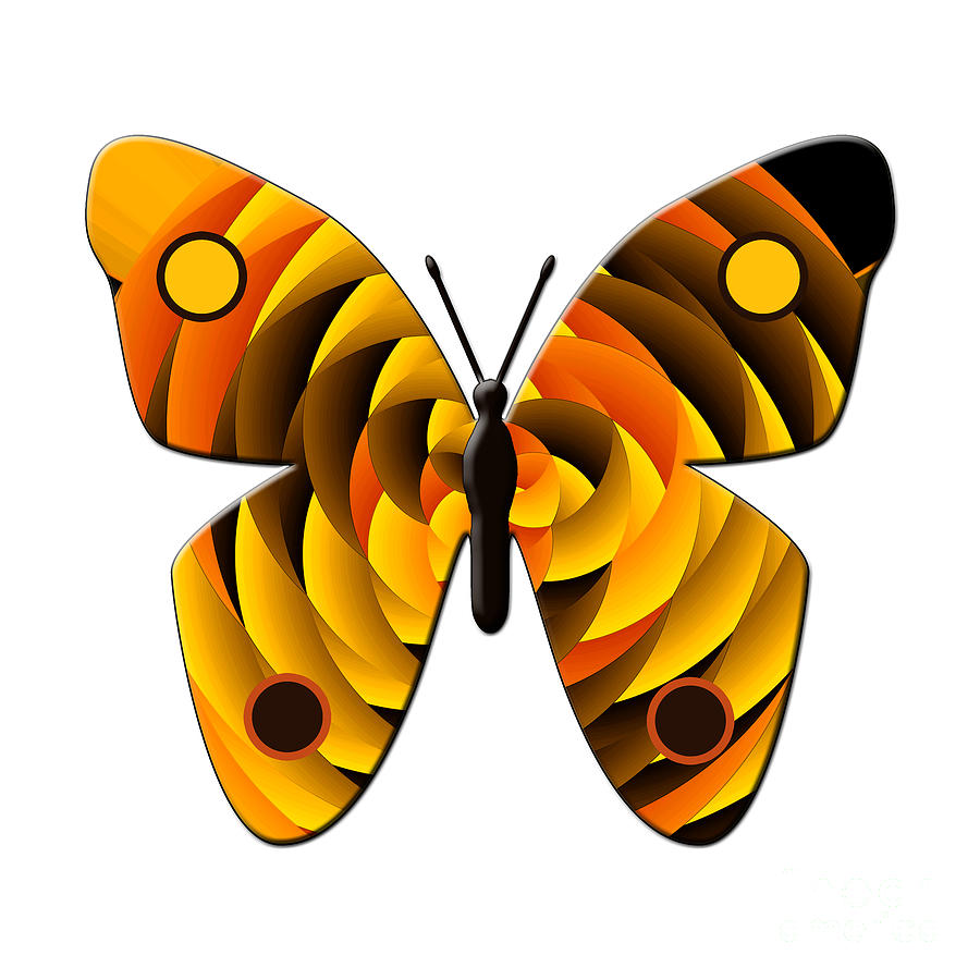 Butterfly Digital Art by Gaspar Avila