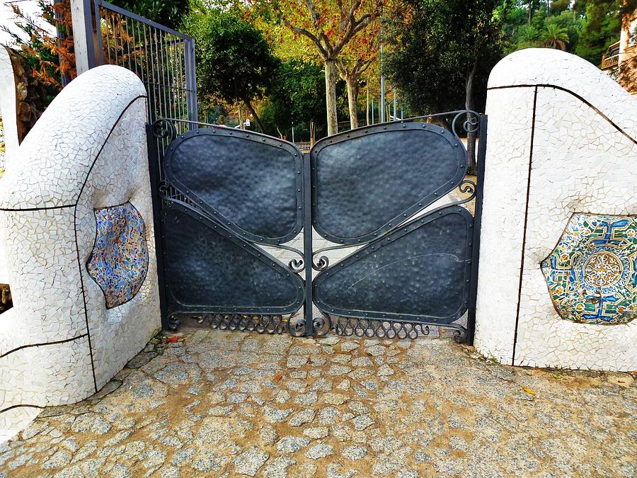 Butterfly Gates Photograph by Barbara Ebeling