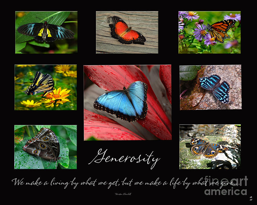 Butterfly Generosity Collage Photograph by Diane E Berry