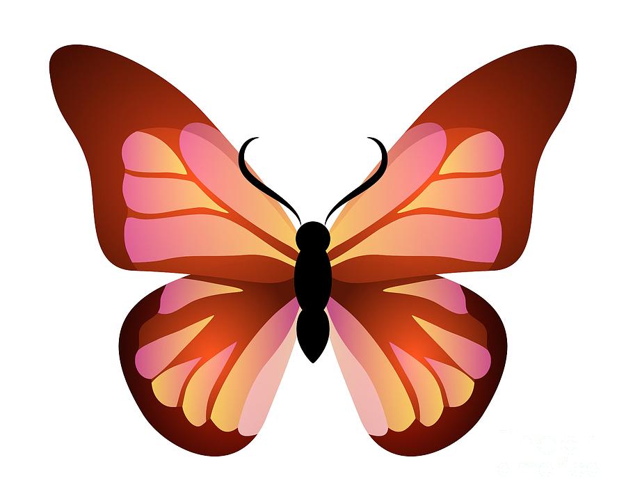 Butterfly Graphic Pink and Orange Digital Art by MM Anderson