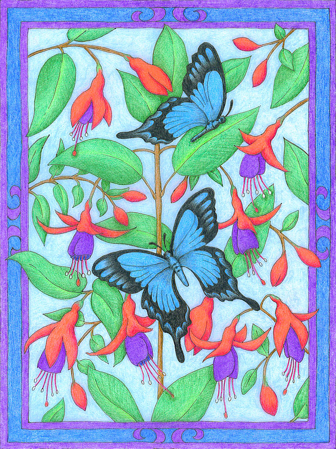 Butterfly Idyll-Fuchsias Drawing by Alison Stein