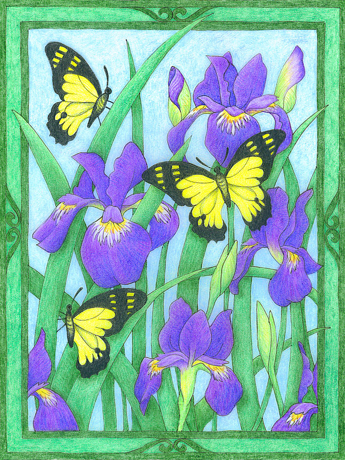 Butterfly Idyll-Irises Drawing by Alison Stein