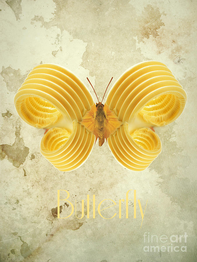 Butterfly III Digital Art by Binka Kirova