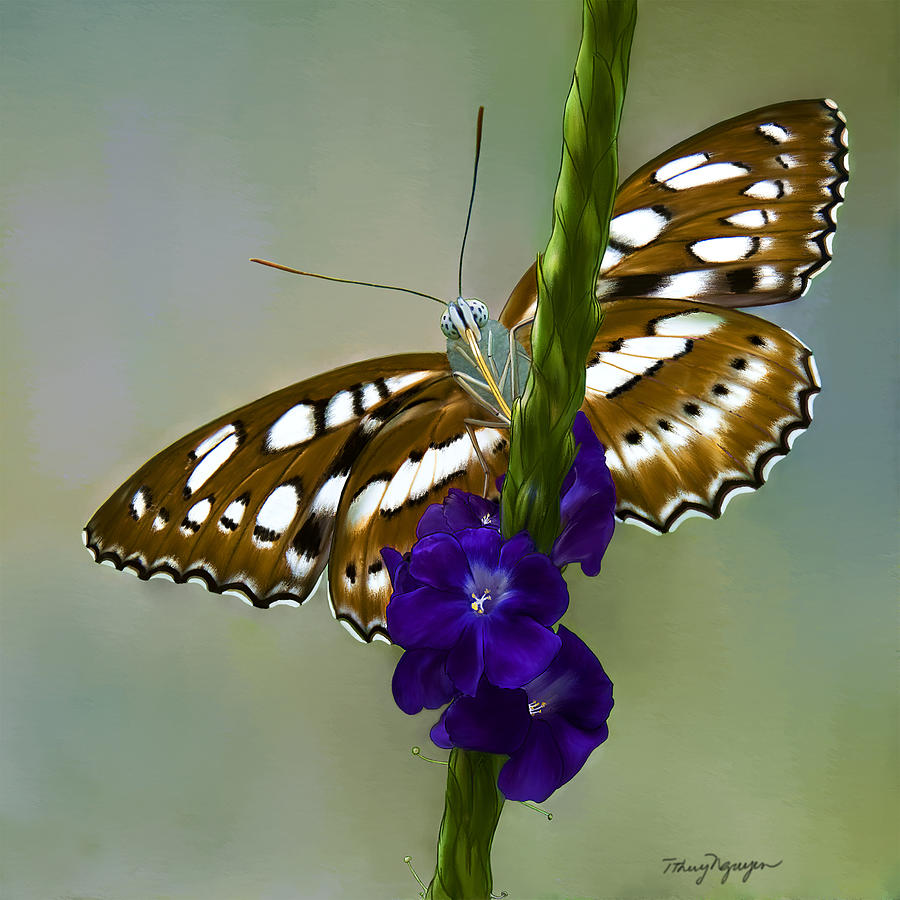 Butterfly Digital Art - Butterfly III by Thanh Thuy Nguyen