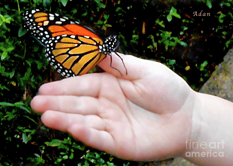 Butterfly in Childs Hand Photograph by Felipe Adan Lerma