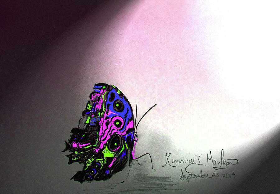 Butterfly In Color Drawing by Kimmary MacLean