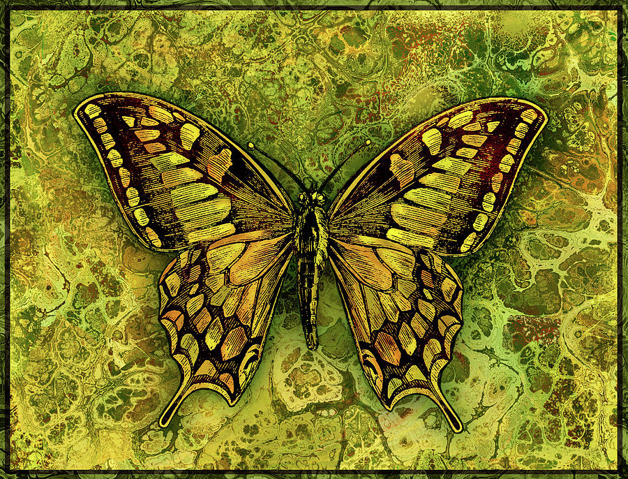 Butterfly in Greens-amber collection Digital Art by Grace Iradian ...