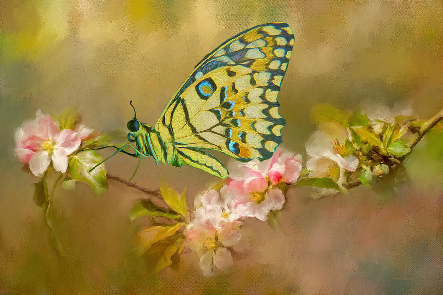 Butterfly in the Flowers 14 Painting Painting by Ericamaxine Price