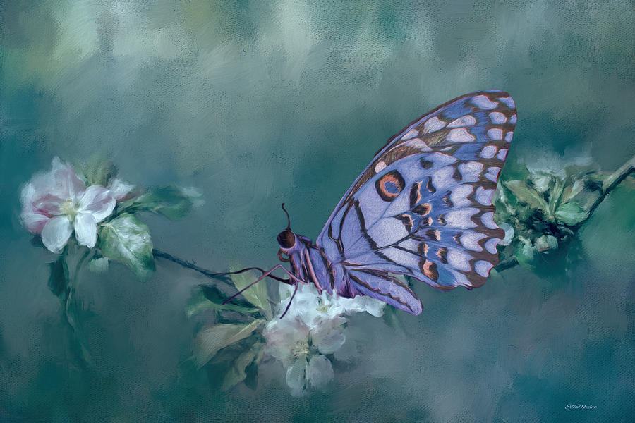 Butterfly Painting - Butterfly in the Flowers 2 - Painting by Ericamaxine Price