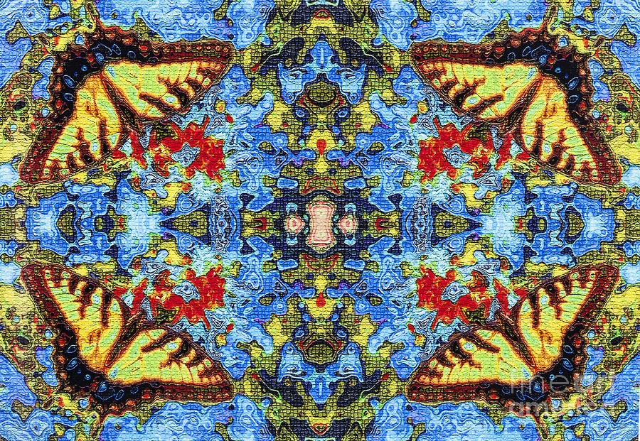 Butterfly Kaleidoscope Digital Art by Diane Macdonald